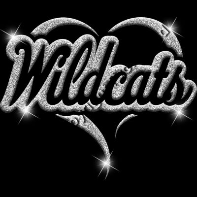 GLT77 SILVER GLITTER Thumbnail